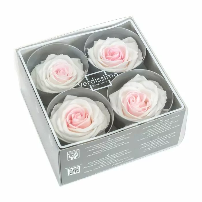 Стабилизированные бутоны роз Bicolor "Premium"