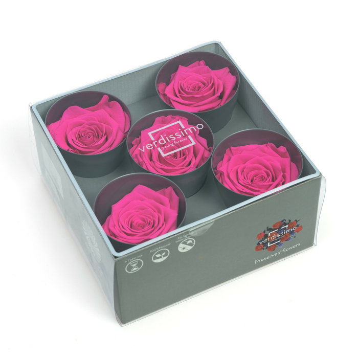 Стабилизированные бутоны розы Bright pink (Queen)