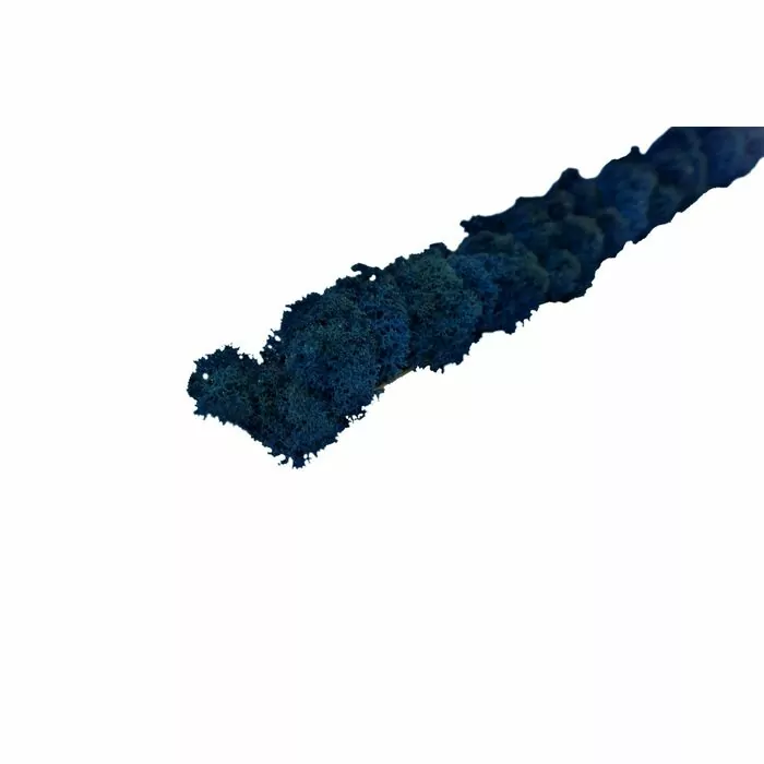 Полоска из стабилизированного мха 3х50 см (синий)