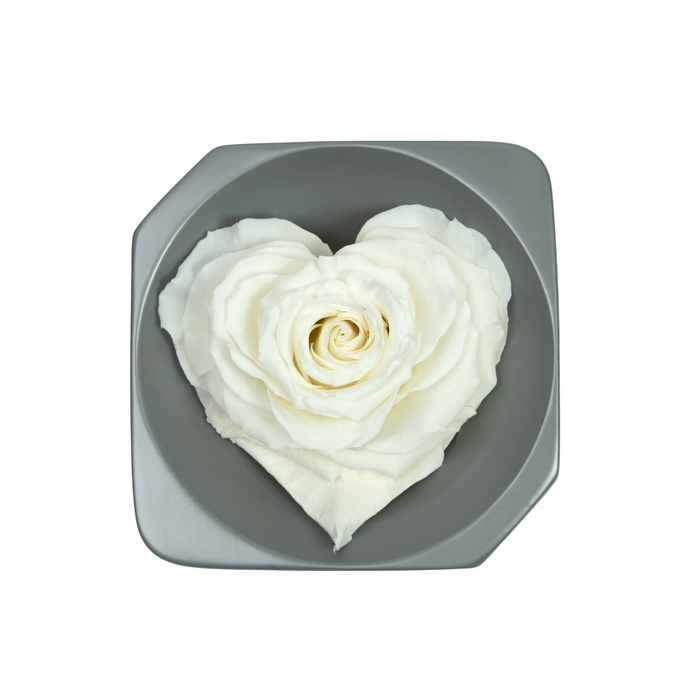 Стабилизированный бутон розы в форме сердца White