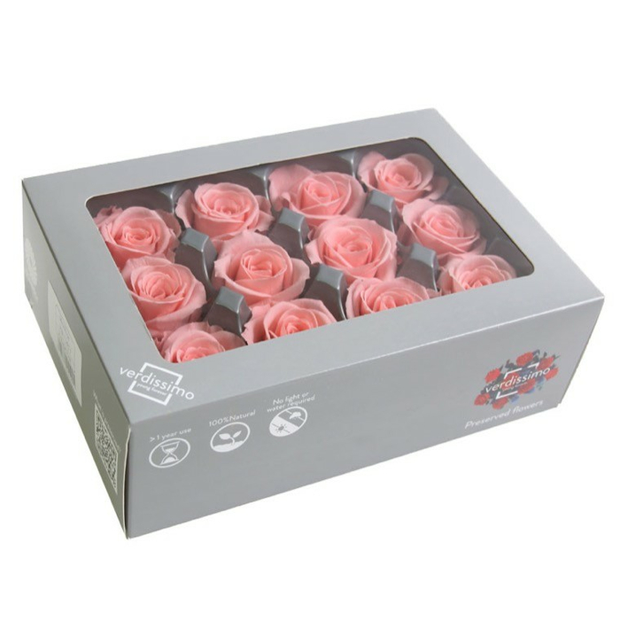 Бутоны розы "Pastel pink" (Mini)