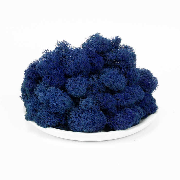 Стабилизированный мох (ягель) 0.5 кг (синий)