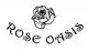 Стабилизированные бутоны пионовидной розы бело-кремовые по 10 шт